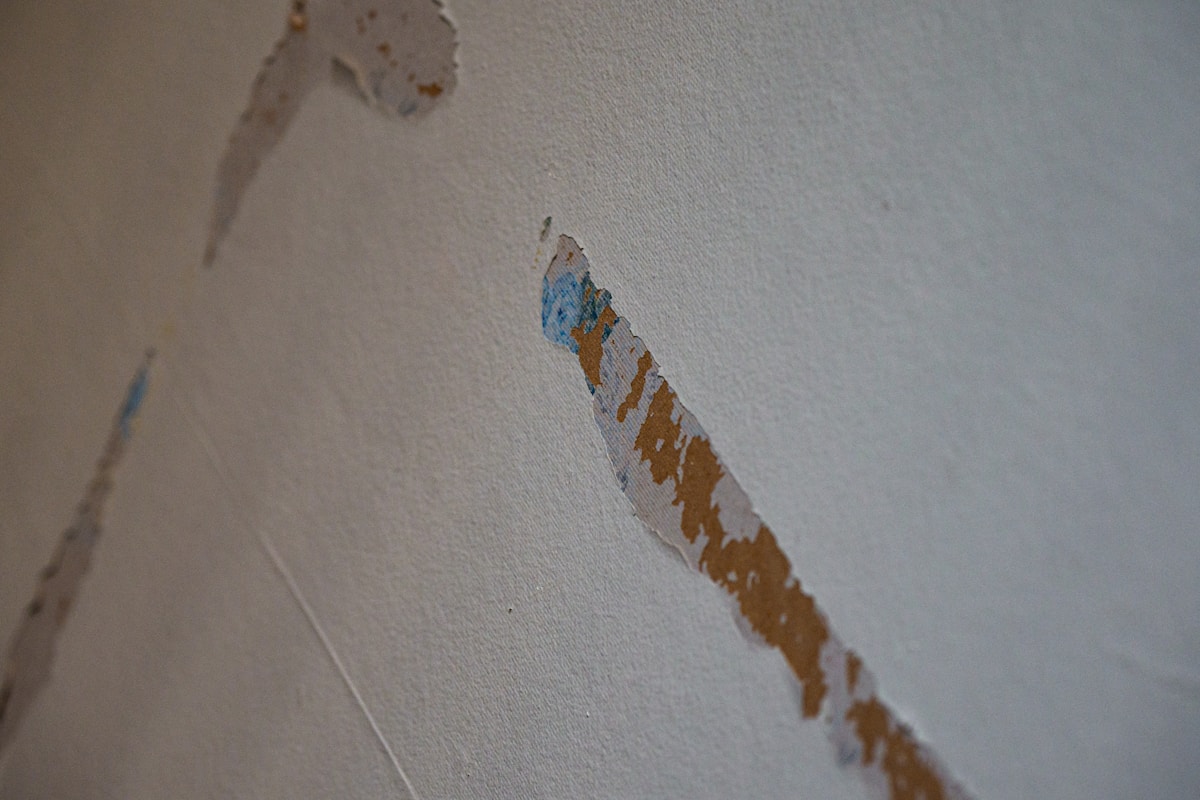Structural Drying service in Santa Rosa, CA